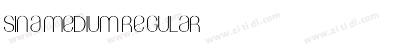 Sina Medium Regular字体转换